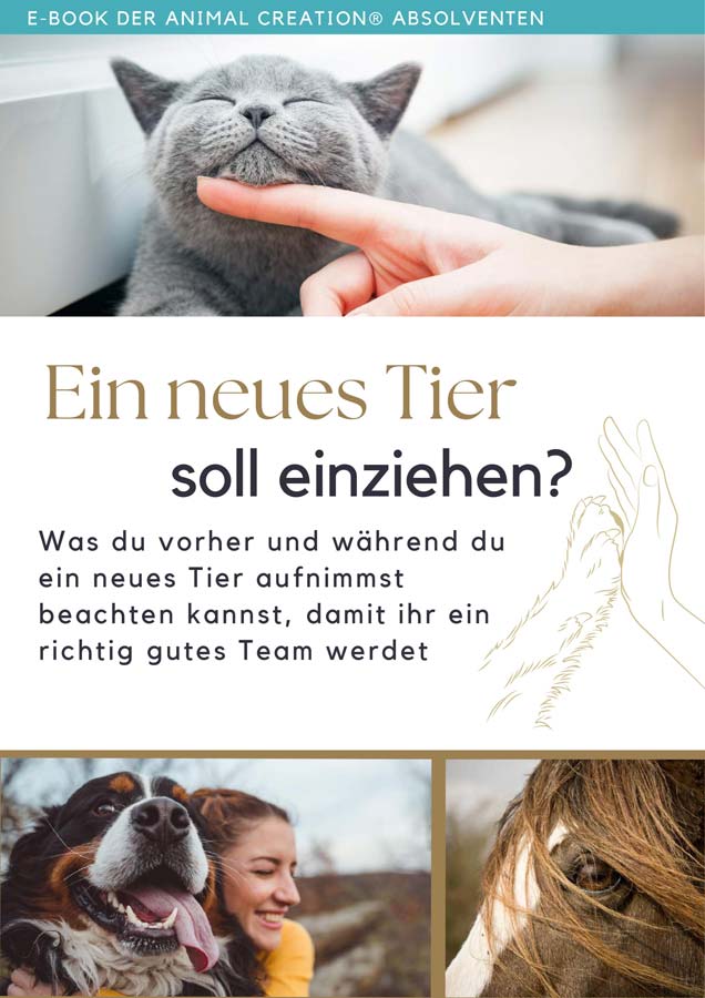 Gratis Ebook: Neues Tier zieht ein